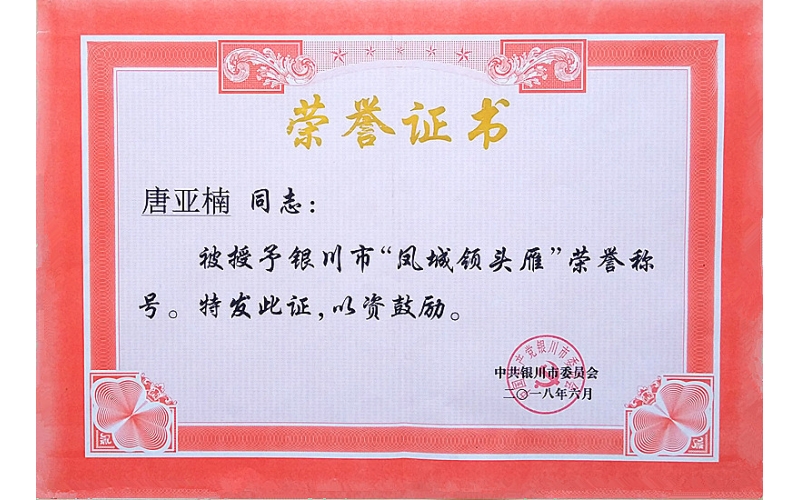 唐亞楠被授予銀川市“鳳城領(lǐng)頭雁”榮譽(yù)稱(chēng)號(hào)